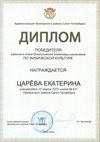 2025-2026 Царева Екатерина 10л РО физ-ра (Тронь Т.И.)